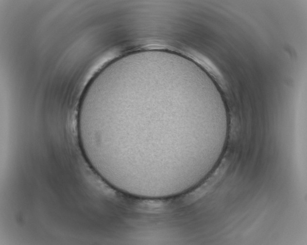 X0000113281190200910130959