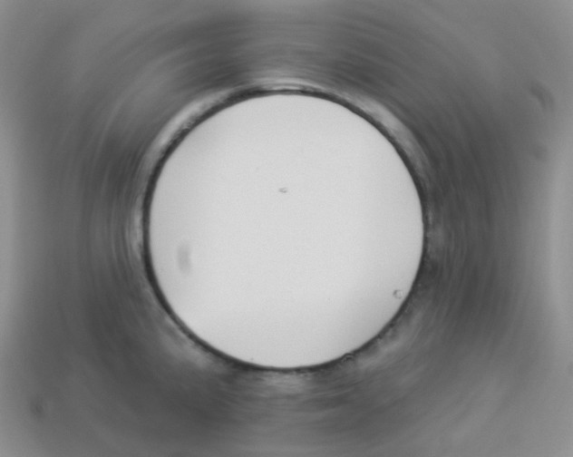X0000113281191200910130959