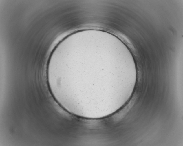 X0000113281192200910130959