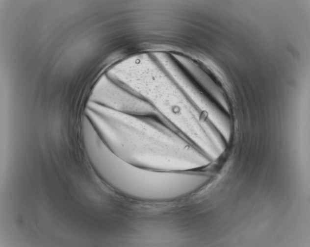X0000113281193200910130959