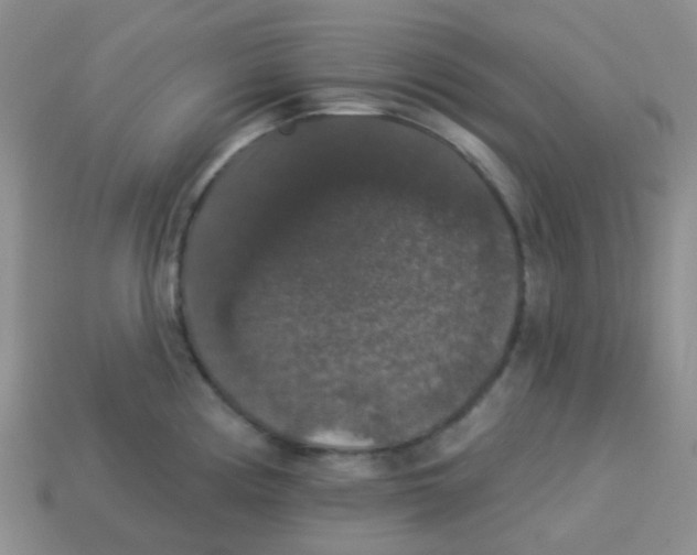 X0000113281194200910130959