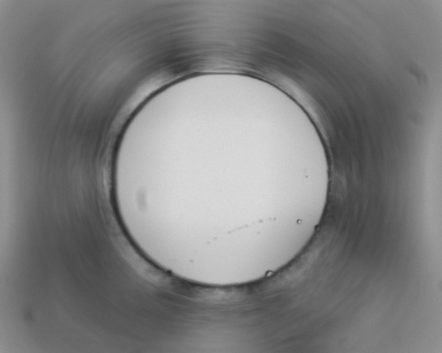 X0000113281195200910130959