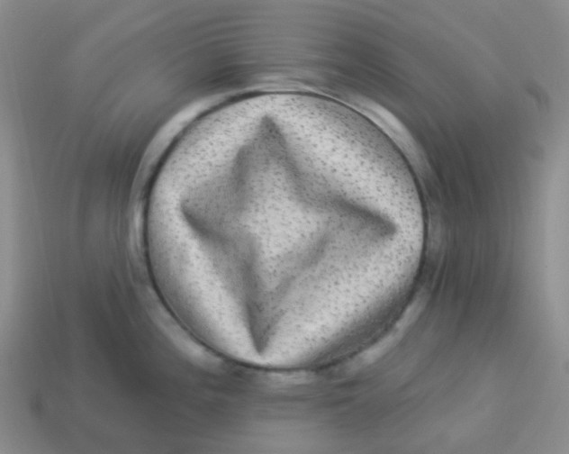 X0000113281196200910130959