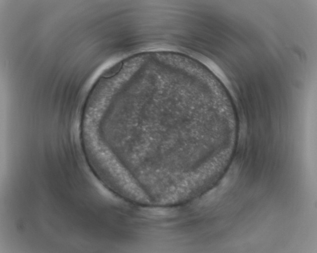 X0000113281197200910130959