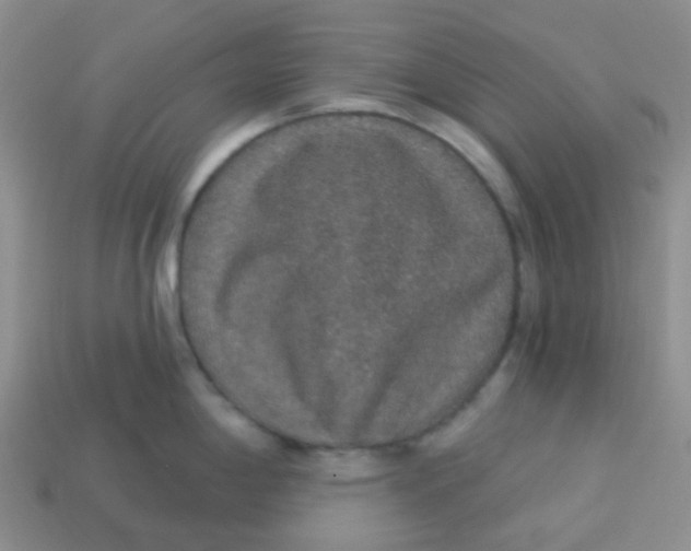 X0000113281198200910130959