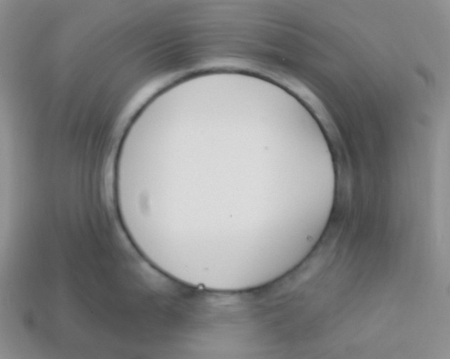 X0000113281199200910130959