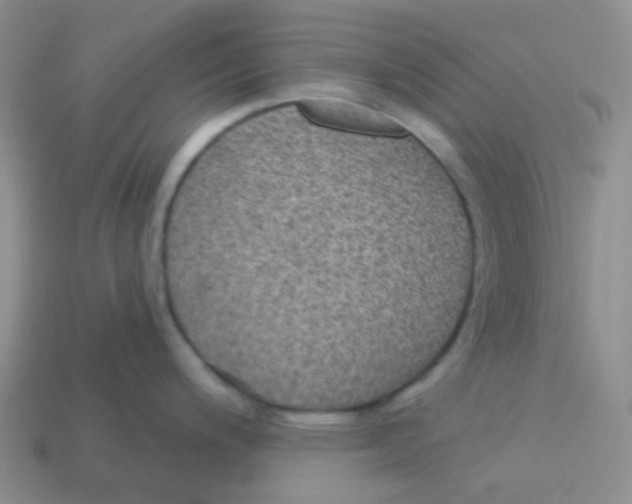 X0000113281200200910130959