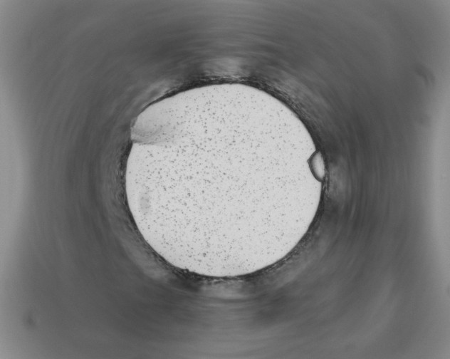 X0000113281201200910130958