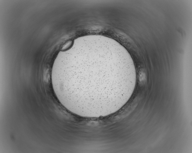 X0000113281204200910130958