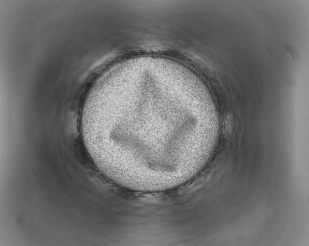 X0000113281205200910130958