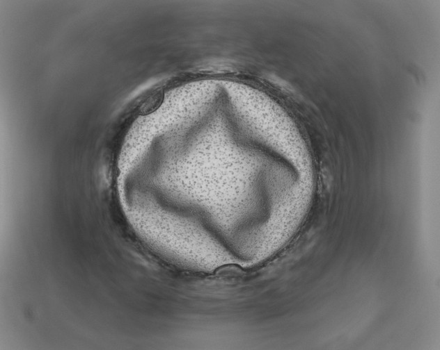 X0000113281206200910130958