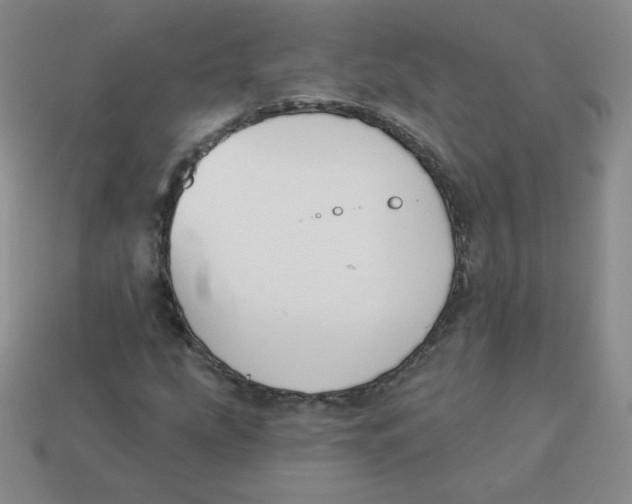 X0000113281207200910130958