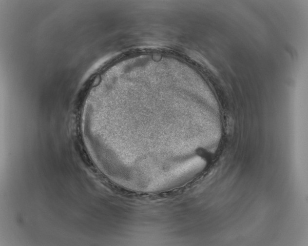 X0000113281208200910130958