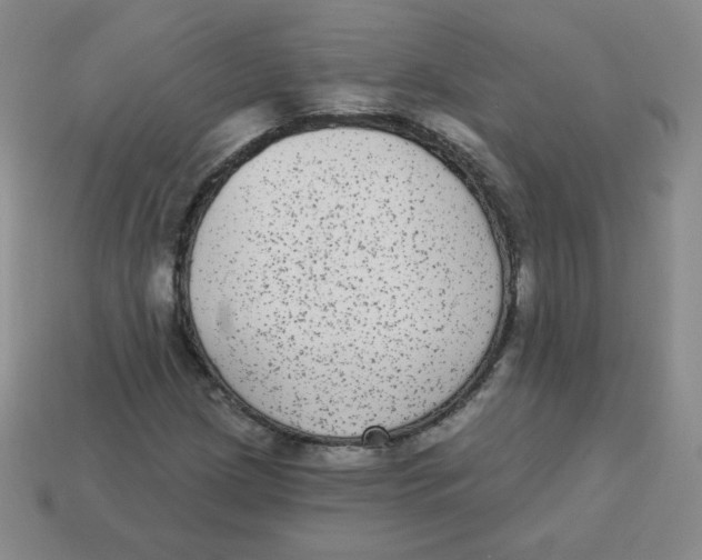 X0000113281209200910130958