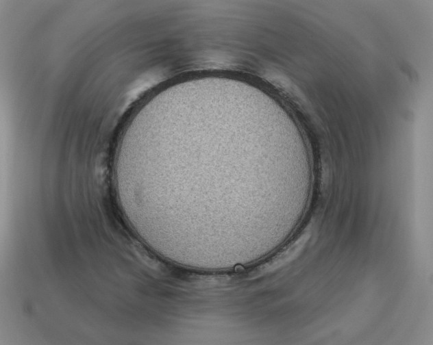 X0000113281210200910130958