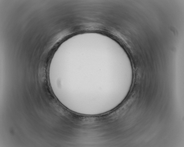 X0000113281211200910130958