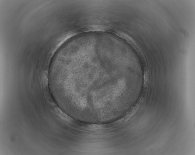 X0000113281212200910130958