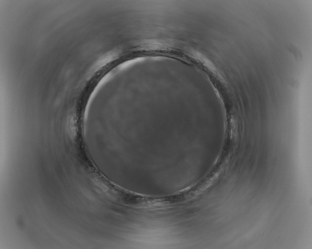 X0000113281213200910130958
