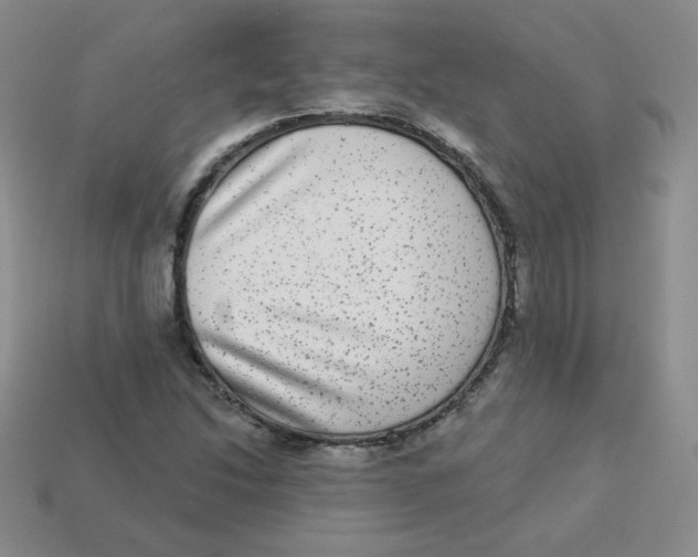 X0000113281214200910130958
