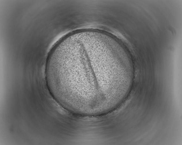 X0000113281216200910130958