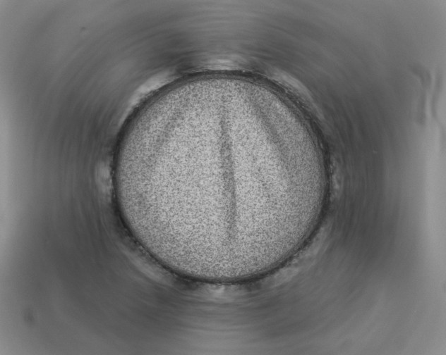 X0000113281218200910130958