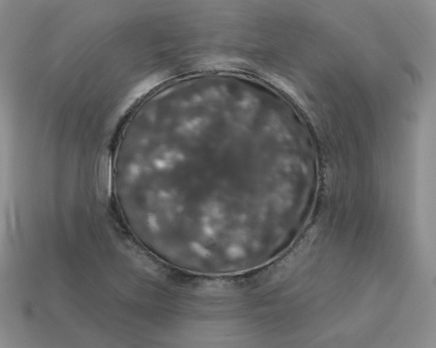 X0000113281219200910130958