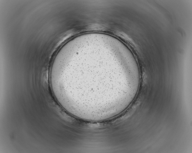 X0000113281220200910130958