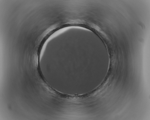 X0000113281221200910130958