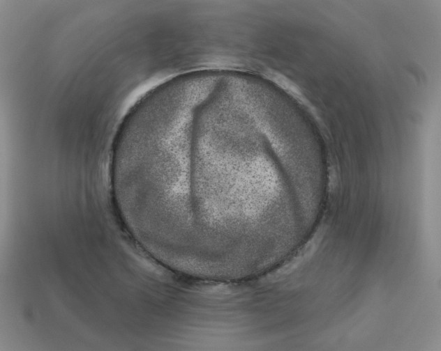 X0000113281222200910130958