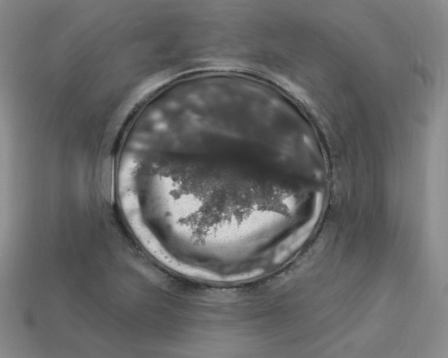 X0000113281223200910130958