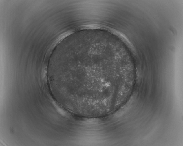 X0000113281225200910130958
