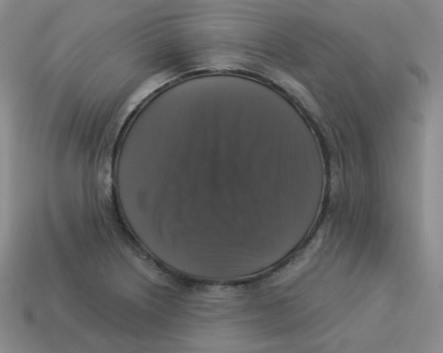 X0000113281226200910130958