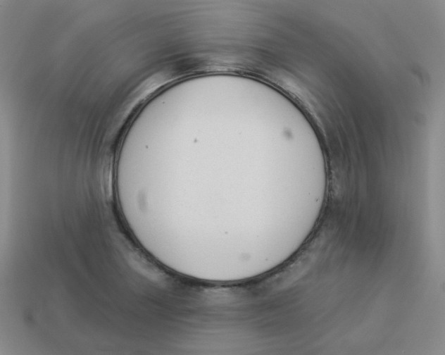X0000113281227200910130958