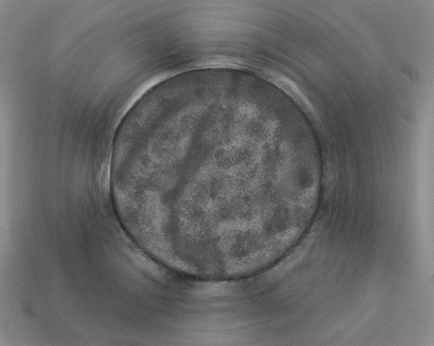 X0000113281228200910130958
