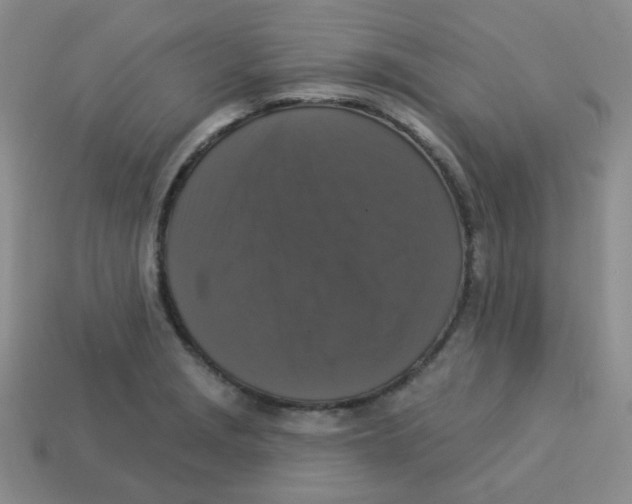 X0000113281229200910130958