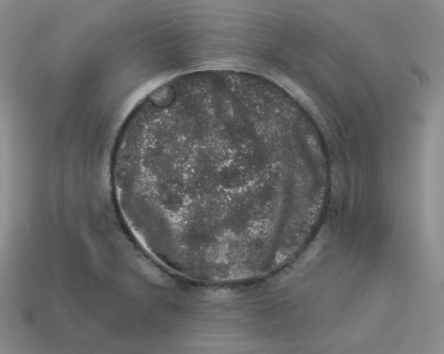 X0000113281230200910130958