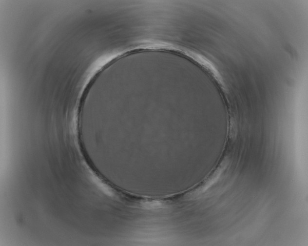 X0000113281231200910130958