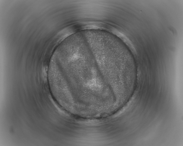 X0000113281233200910130958