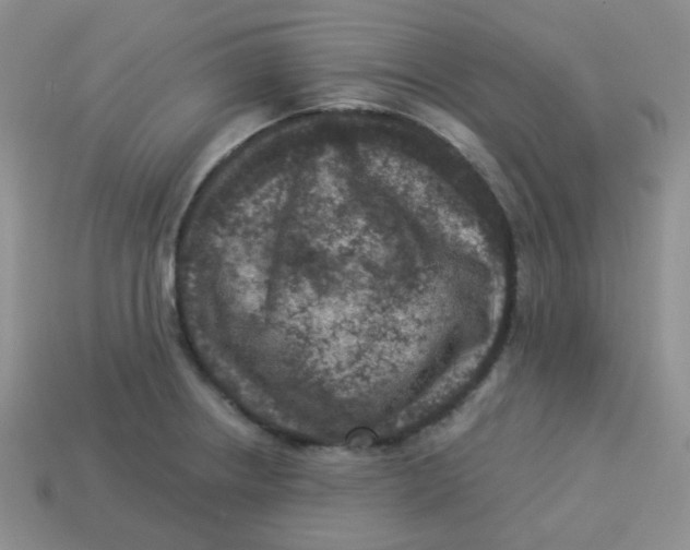 X0000113281234200910130958