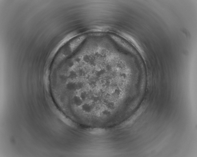 X0000113281235200910130958