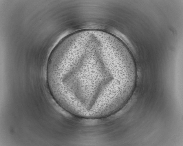X0000113281236200910130958