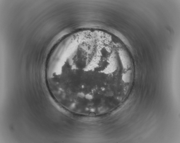 X0000113281237200910130958