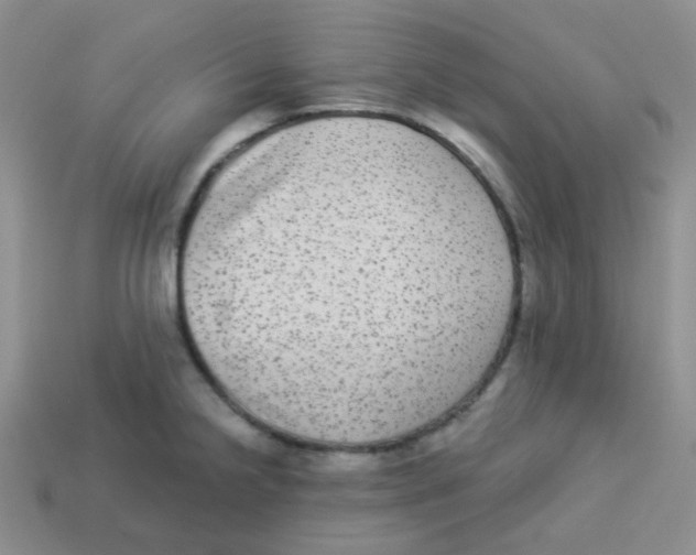 X0000113281238200910130958