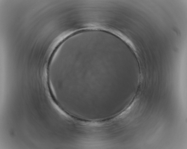 X0000113281239200910130958