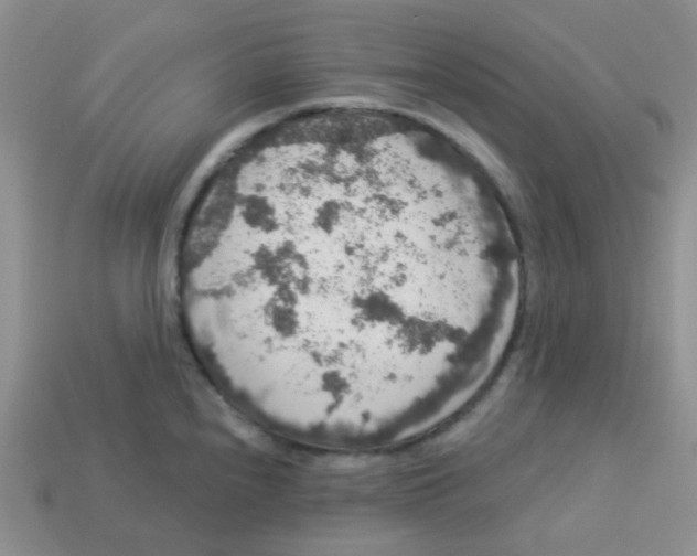 X0000113281240200910130958