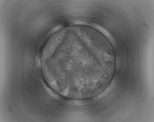 X0000113281241200910130958