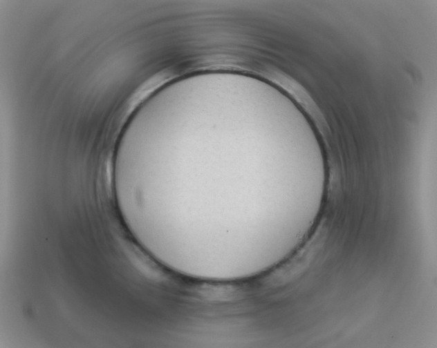 X0000113281242200910130958