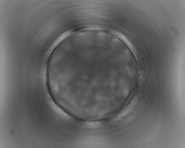 X0000113281243200910130958