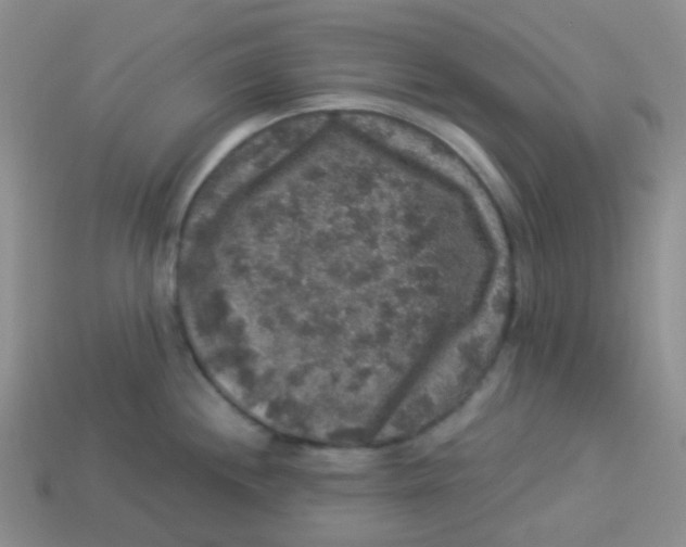 X0000113281244200910130958