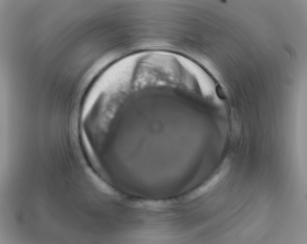 X0000113281245200910130958